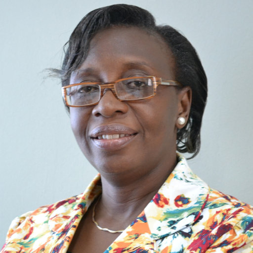 IPCC Select Dr. Ibidun Adelekan for Sixth Assessment Report Authorship